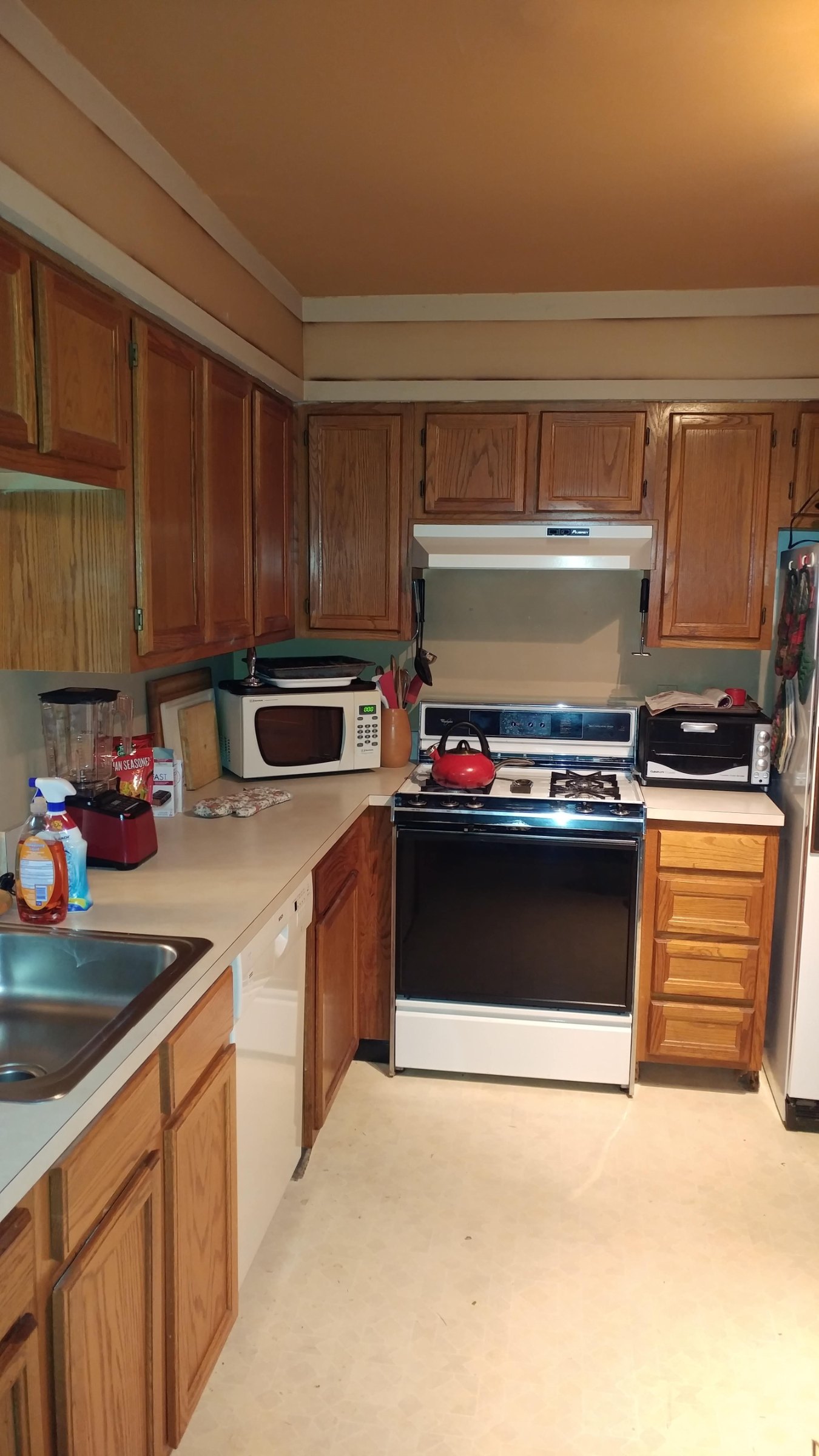 Botanical Kitchen before the remodel